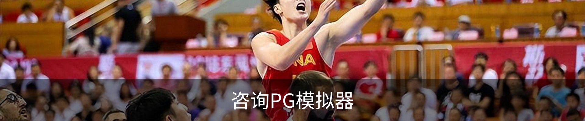 咨询PG模拟器
